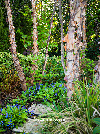 Purley Garden, Designer Ruth Willmott,  All Photos © Joanna Kossak