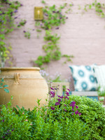 Chiswick Pink Garden, Designer Joanna Archer All Photos © Joanna Kossak