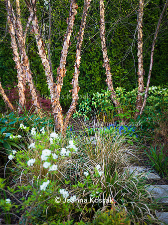 Purley Garden, Designer Ruth Willmott,  All Photos © Joanna Kossak