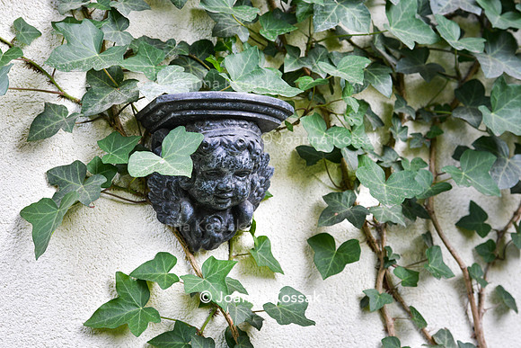Vintage wall-mounted sculpture covered by Hedera helix