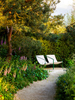 Stroke Association’s Garden for Recovery, Designer Miria Harris