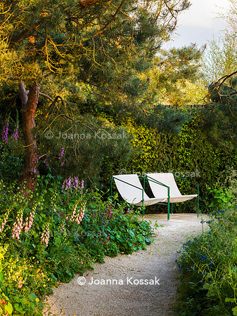 Stroke Association’s Garden for Recovery, Designer Miria Harris