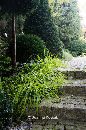 Granite stone steps