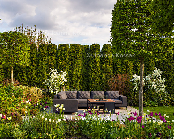 Purley Garden, Designer Ruth Willmott,  All Photos © Joanna Kossak