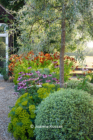 Weston Green/ Esher. Designed by Maitanne Hunt, All Photos © Joanna Kossak