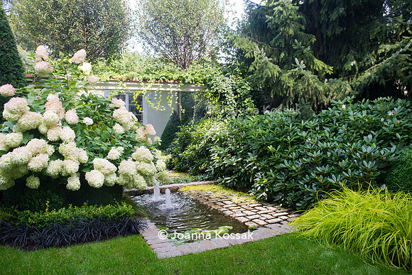 Front garden with the pond