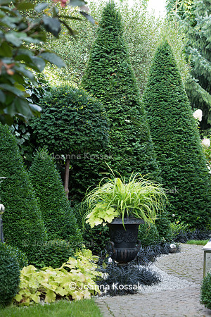 Clipped topiary