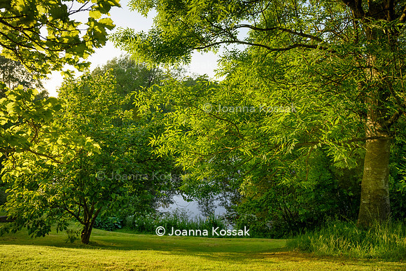 Old Vicarage, Designer Kate Smith, All Photos © Joanna Kossak