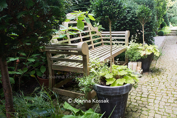 Paved path with teak bench