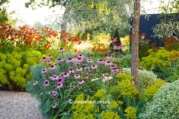 Weston Green/ Esher. Designed by Maitanne Hunt, All Photos © Joanna Kossak
