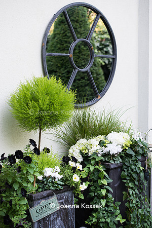 The mirror over black flower pots