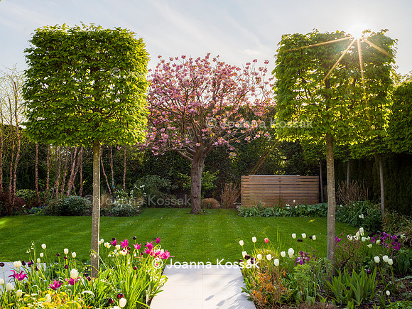 Purley Garden, Designer Ruth Willmott,  All Photos © Joanna Kossak