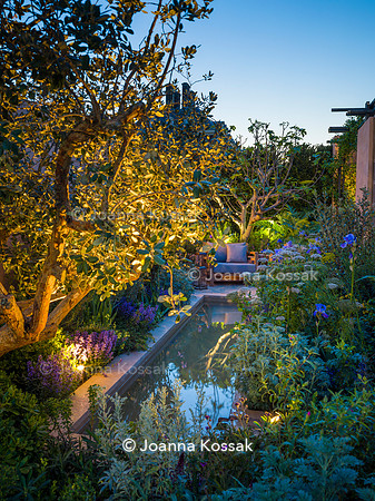 Hamptons Mediterranean Garden