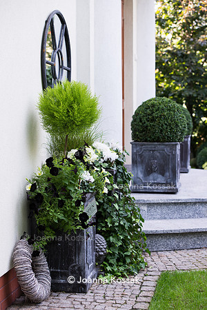 Entrance to the house