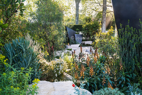 Irregular geometric bronze sculptures (fins), stones and  limestone paths surrounded by Isoplexus (Isoplexis) canariensis - Canary Island Foxgloves, Ozothamnus diosmifolius, Euphorbia ceratocarpa