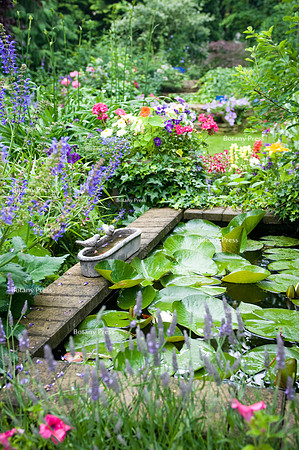 Bird bath  on the granite stone border of garden pond.