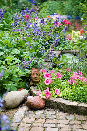 Sculpture of human head in terracotta with Petunia hybrida 'F1 Parure' and Salvia transsylvanica.