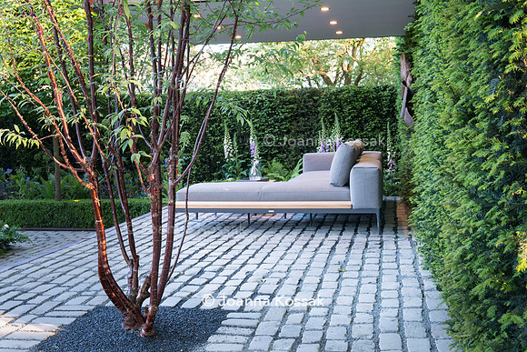 Modern patio (entertaining area) with furnitures,