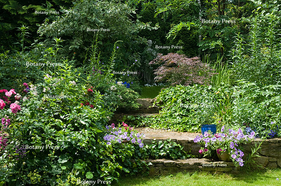 Stone steps leading to hidden part of the garden