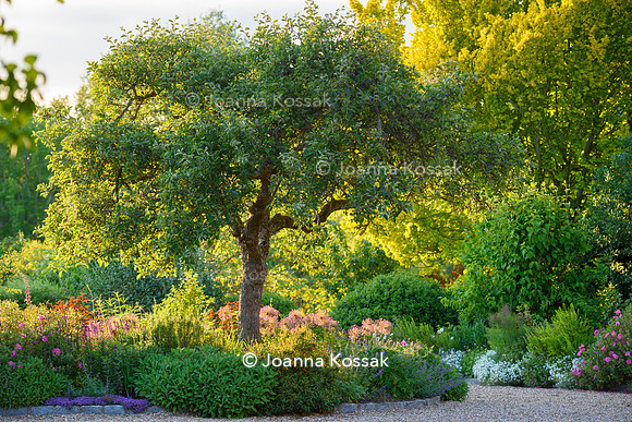 Old Vicarage, Designer Kate Smith, All Photos © Joanna Kossak