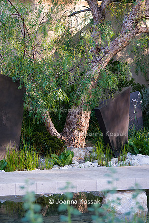 Schinus molle between geometric bronze sculptures (fins)