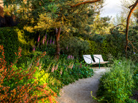 Stroke Association’s Garden for Recovery, Designer Miria Harris