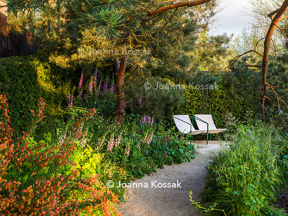 Stroke Association’s Garden for Recovery, Designer Miria Harris