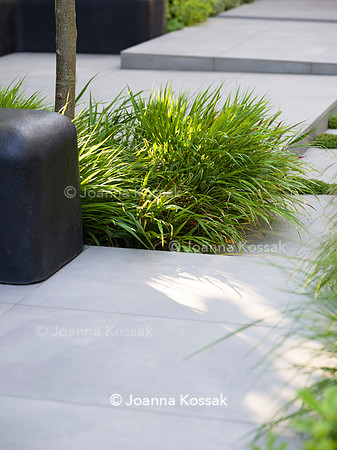 Edge Hill garden. Designer Tom Howard. All Photos © Joanna Kossak