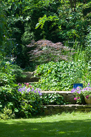 Stone steps  with petunias in flower pots leading to hidden part