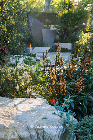 Irregular geometric bronze sculptures (fins), stones and  limestone paths surrounded by Isoplexus (Isoplexis) canariensis - Canary Island Foxgloves, Ozothamnus diosmifolius and Glaucium corniculatum.