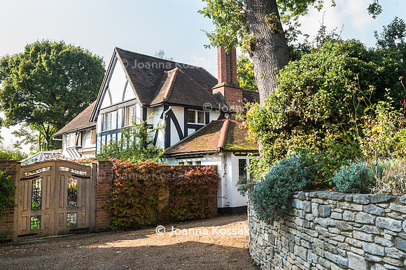 View of the house and wooden gate leading to the garden with Trachelospermum jasminoides (Confederate jasmine) covering the wall