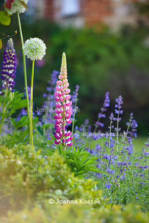 Old Vicarage, Designer Kate Smith, All Photos © Joanna Kossak