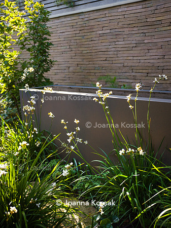 Designer Tony Woods, Qian Gao/ Garden Club London All photos ©Joanna Kossak