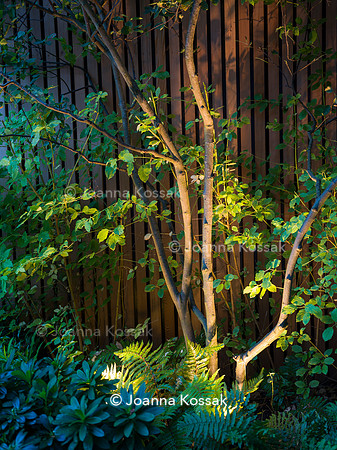 Edge Hill garden. Designer Tom Howard. All Photos © Joanna Kossak