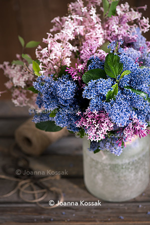 Ceanothus and Syringa bouquet
