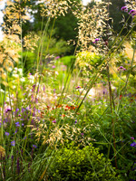 Designer: Christine Wilford MSGD/ Green Arden Design. All photos ©Joanna Kossak
