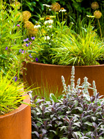 Designer: Christine Wilford MSGD/ Green Arden Design. All photos ©Joanna Kossak