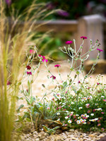 Designer: Christine Wilford MSGD/ Green Arden Design. All photos ©Joanna Kossak