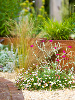 Designer: Christine Wilford MSGD/ Green Arden Design. All photos ©Joanna Kossak