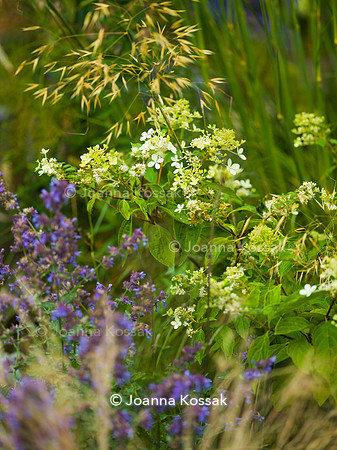 Designer: Christine Wilford MSGD/ Green Arden Design. All photos ©Joanna Kossak
