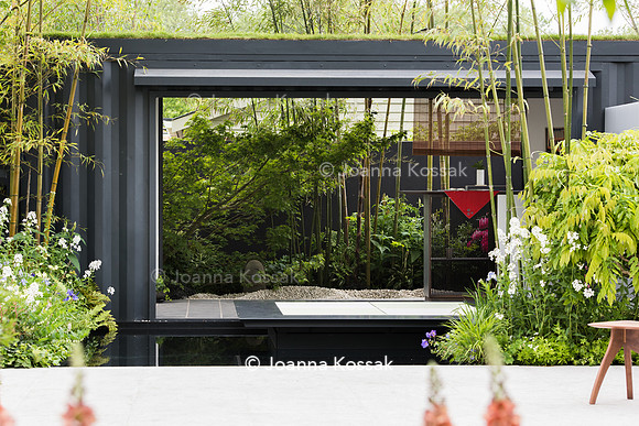 View of a rear garden  through an open window
