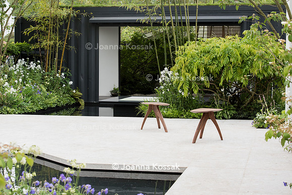 View of a modern Japanese garden surrounded by Bamboos.