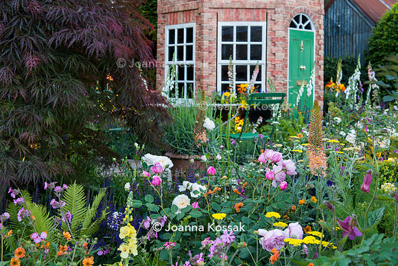 View of a flowerbed with Rosa 'Saint Ethelburga', Verbascum (Cotswold Group) 'Gainsborough', Rosa 'Macmillan Nurse', Matteuccia struthiopteris,
