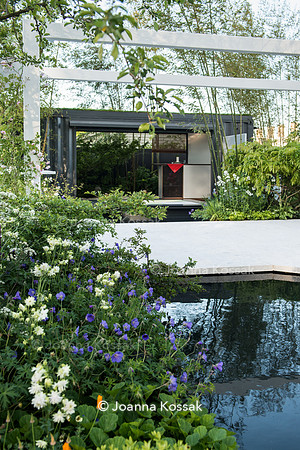 View of a white sandstone patio and a pond in modern Japanese garden surrounded by Geranium 'Blue Sunrise'