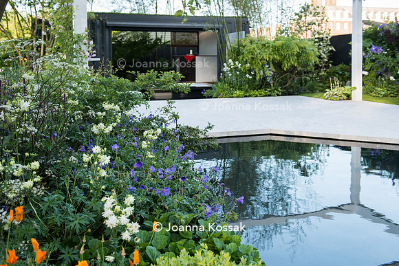 View of a white sandstone patio and a pond in modern Japanese garden  surrounded by Geranium 'Blue Sunrise',...