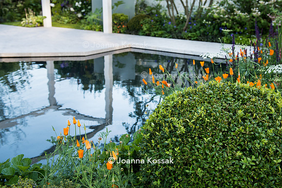 View of a white sandstone path next to the pond in modern Japanese garden surrounded by....