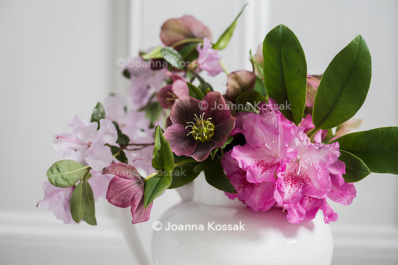 Spring flower arrangement with helleborus and Rhododendron in white vase.