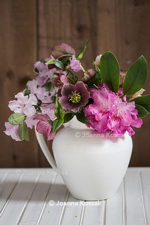 Spring flower arrangement with helleborus and Rhododendron in white vase.