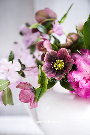 Spring flower arrangement with helleborus and Rhododendron in white vase.
