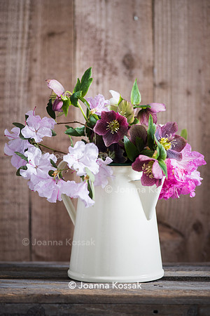 Spring flower arrangement with helleborus and Rhododendron in white vase.